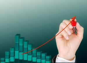 华体会体育网登录-运动项目职业路径设计与发展研究，运动职业化