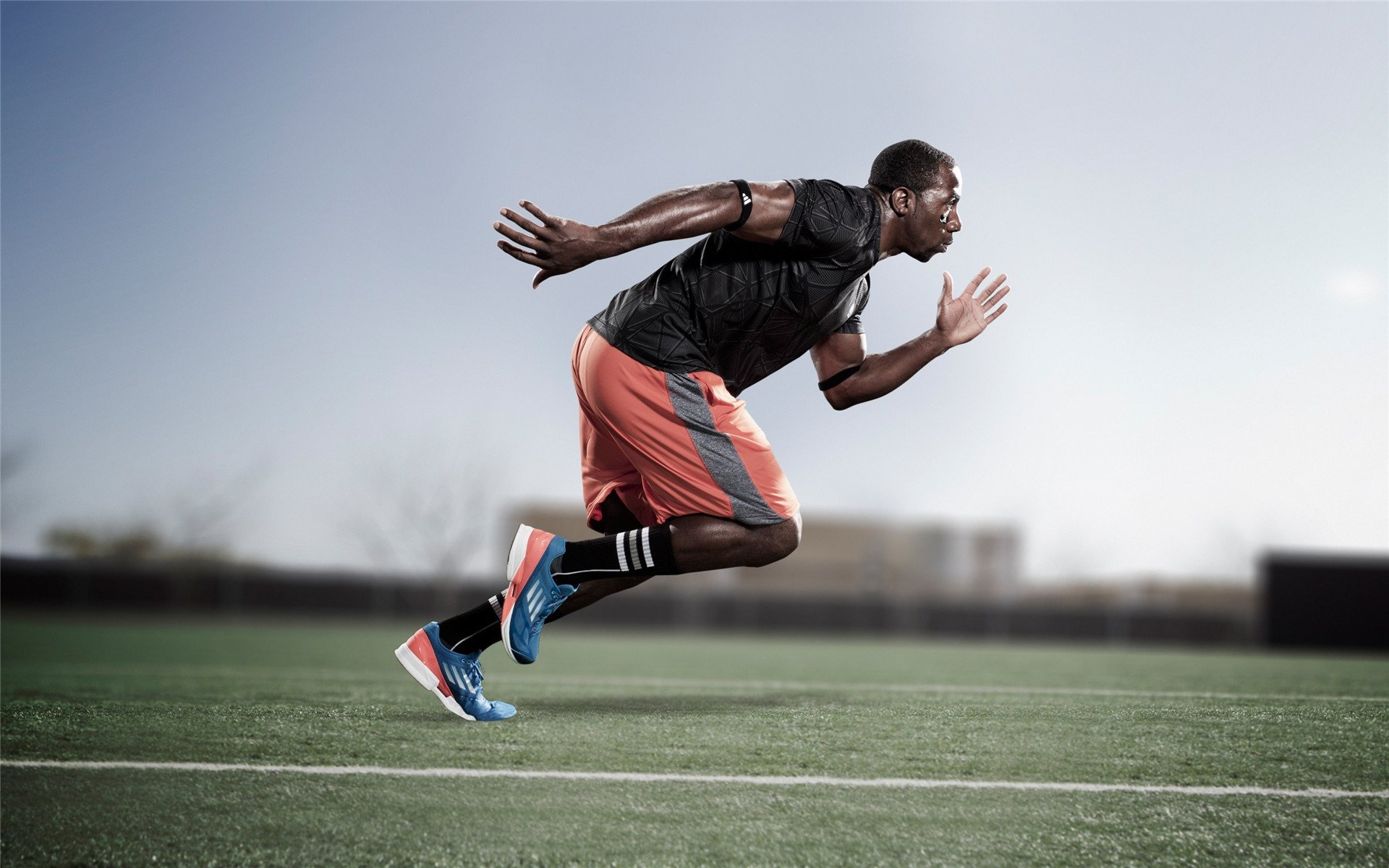 城市夜光水上风筝节，灯火闪耀中的空中盛会